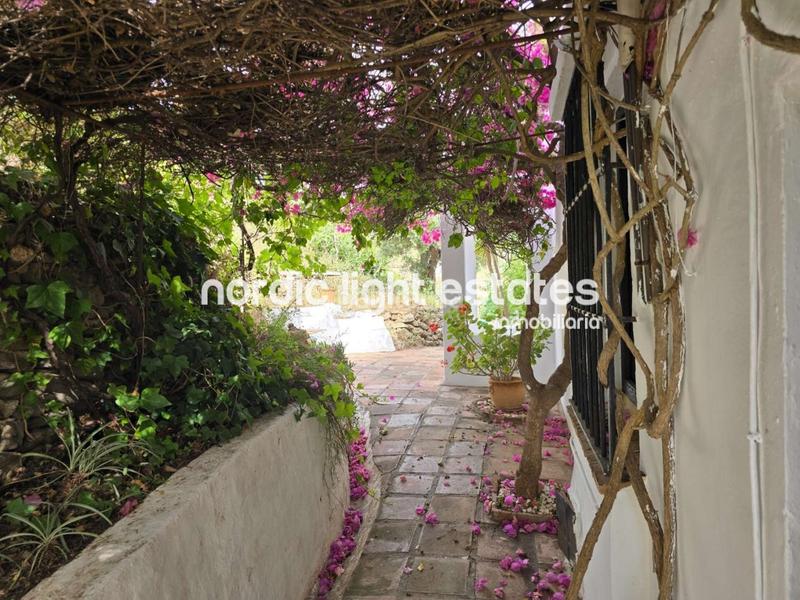 Foto a3c176c5-484c-47f1-abaa-f1749ed3a92b. House with pool in Torrox pueblo Torrox