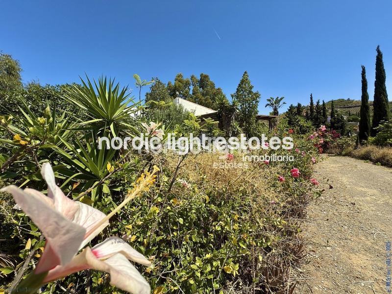 Foto ea02c8d9-c70a-4386-a781-6eb968ec4548. Casa in Camino Viejo de Málaga Vélez - Málaga