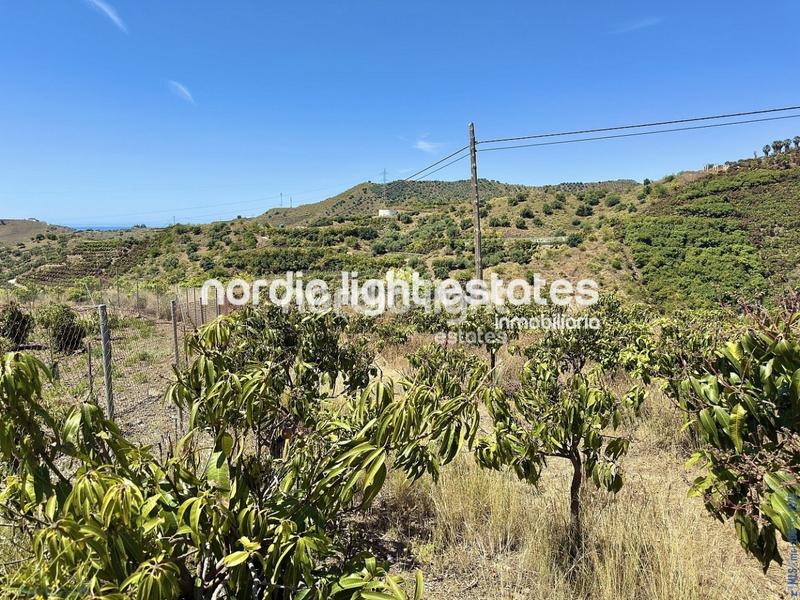 Foto 399b4dea-f588-4705-aa95-cf3a5fec4bc5. Haus in Camino Viejo de Málaga Vélez - Málaga