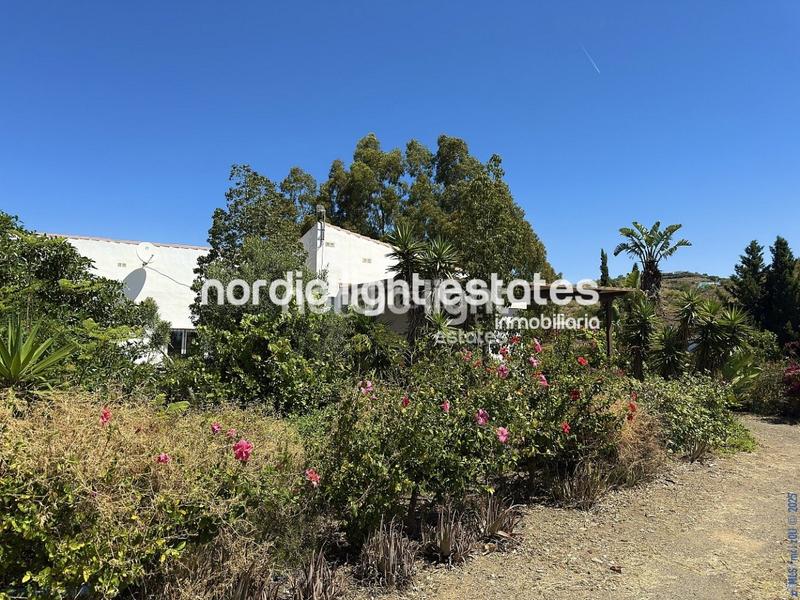 Foto 7cf84e7c-8f0e-4d05-b2d3-db098ca29ce8. Haus in Camino Viejo de Málaga Vélez - Málaga