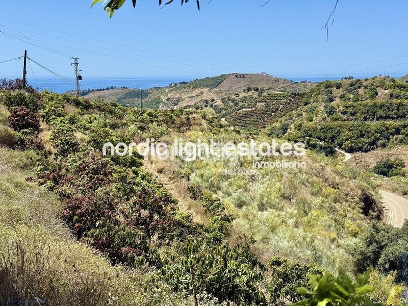 Foto 9ea5f5b3-30ab-44fa-821f-2b75f8444ba4. Haus in Camino Viejo de Málaga Vélez - Málaga