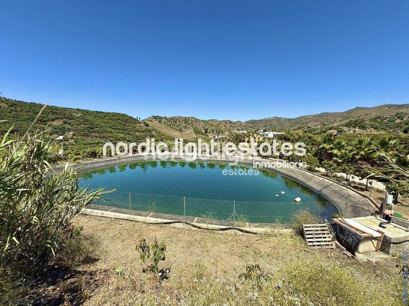 Foto 715e21dc-8f61-4676-9498-6829b7c48474. Maison dans Camino Viejo de Málaga Vélez - Málaga