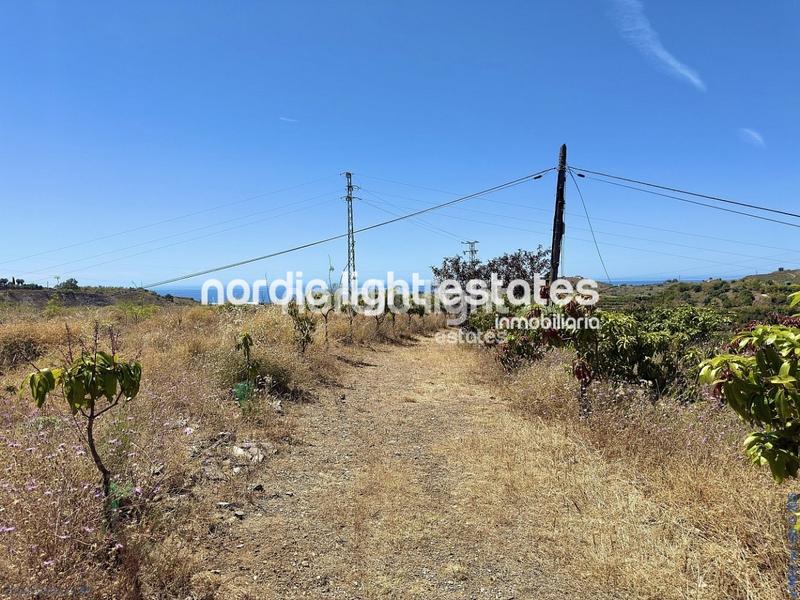 Foto aee670e3-70e5-45fa-a0c2-20e55bdfd9a0. Maison dans Camino Viejo de Málaga Vélez - Málaga