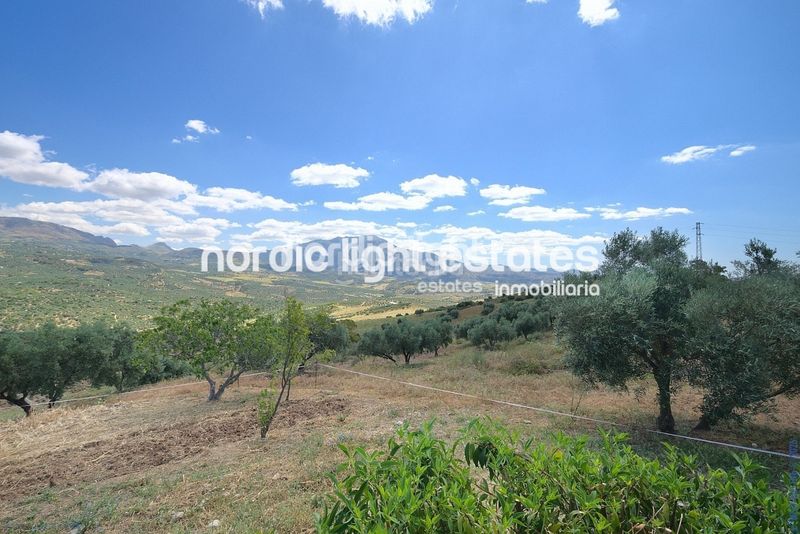 Foto a7eaa478-4464-4c17-89d4-e4c3bd0a3e3f. Casa amb aparcament piscina a Periana