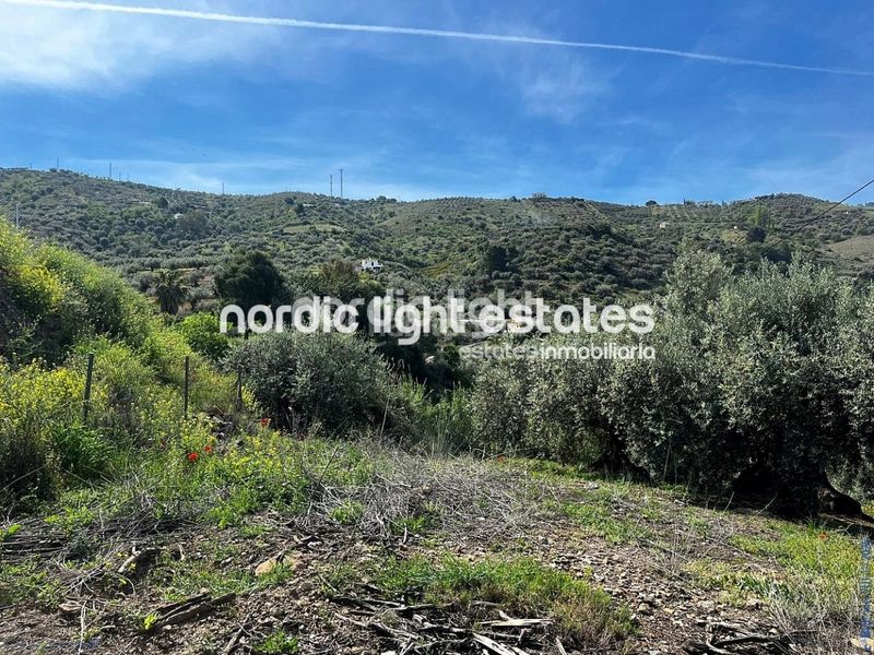 Foto d942cfac-719d-473d-9ca1-fc961b09c19b. Casa amb aparcament a Canillas de Aceituno