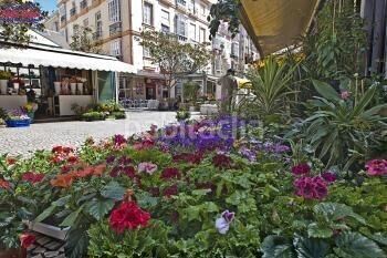 Foto 34978282-eed1-45df-b08e-65d2b9d55b36. Pis a Centro Histórico Cádiz