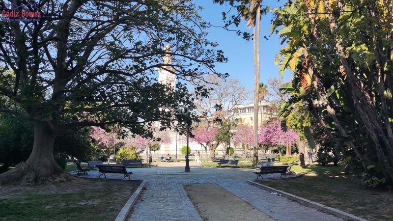 Foto 00659079-e054-4f97-8059-de005ffc068e. Pis a Centro Histórico Cádiz