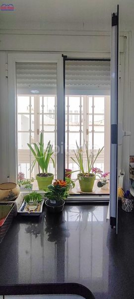 Foto 3a09a1b6-e0ce-4200-bb44-a5b1bec3753c. Pis a Centro Histórico Cádiz