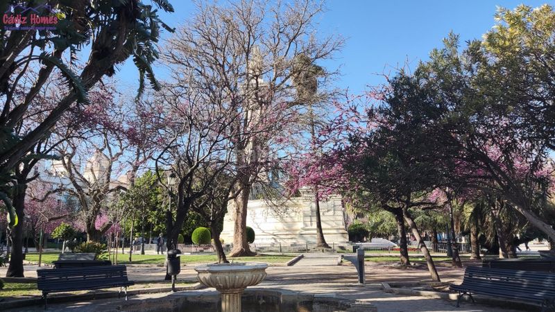 Foto 602858ca-3943-4250-a44a-60a0b0f889b0. Pis a Centro Histórico Cádiz