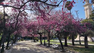 Pis a Centro Histórico. Precioso duplex de reciente construccion.zona plaza de españa