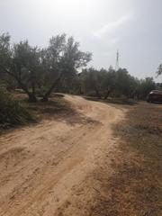Fondo rustico in Peligros. Finca de olivos con pozo propio en peligros, junto al camping