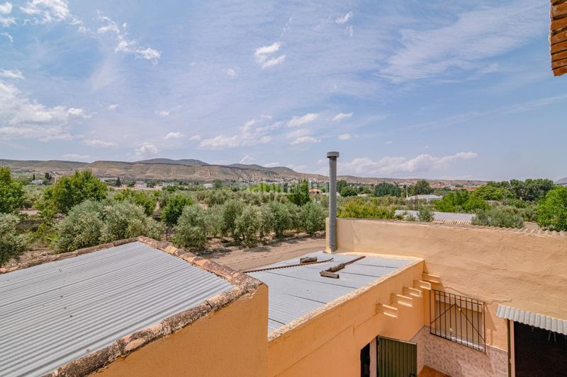 Foto 63f2759d-5c1f-459a-be72-6d406f39e1fb. Apartament a Baza