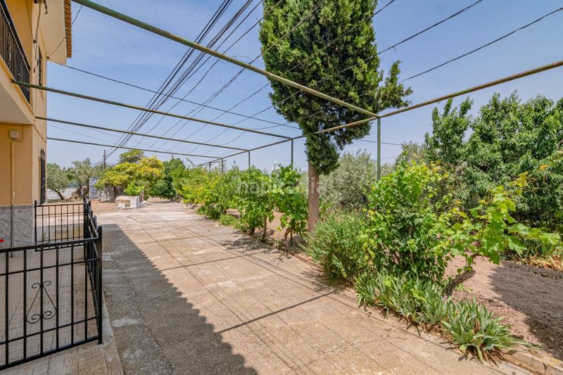 Foto ba0f40a9-3a8a-43f9-bed3-9924d7b38230. Apartament a Baza