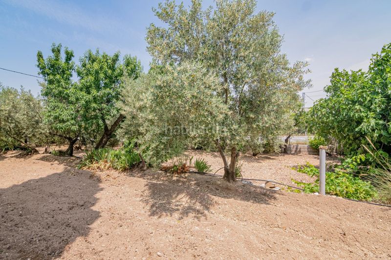 Foto d17f65e4-342f-4f54-891e-f4053d0ba00a. Apartament a Baza