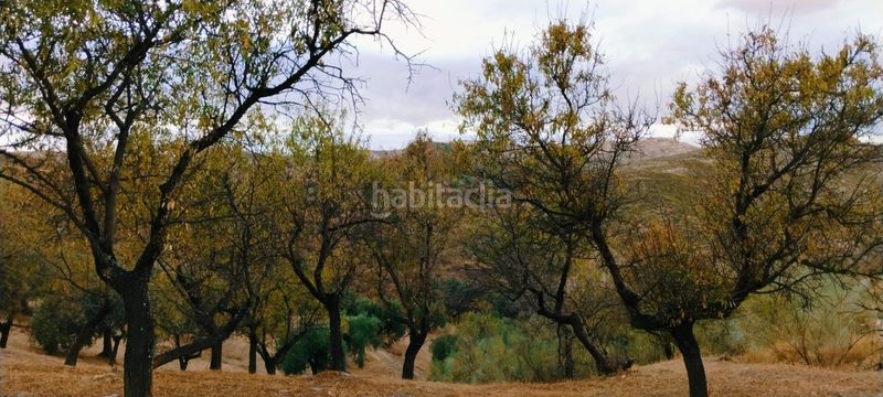 Foto 4442a293-5e43-4b71-bab4-c218beac023b. Apartamento en Quéntar