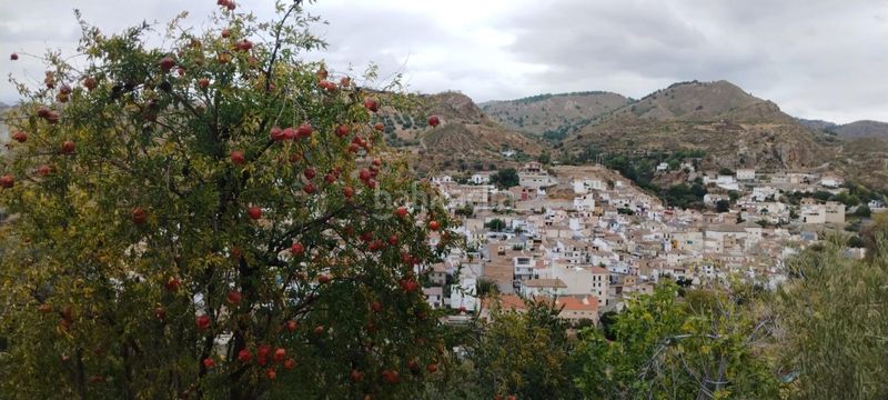 Foto 6f9f9e25-9ffb-4d91-a690-473e629adc21. Apartamento en Quéntar