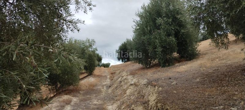 Foto a5a1e7e2-c8e4-48fd-abef-e65ceb63fbcb. Apartamento en Quéntar