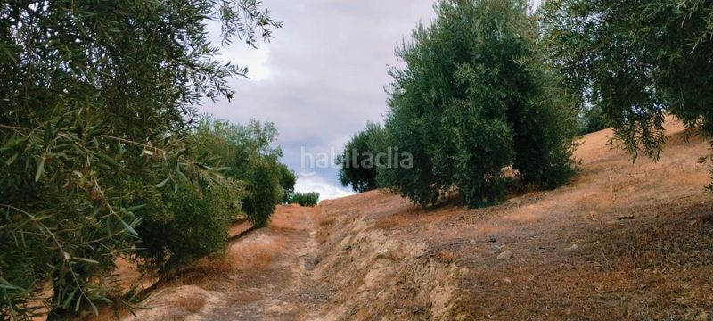 Foto b1a493e0-6f7a-4286-a6bb-7de085555246. Apartamento en Quéntar