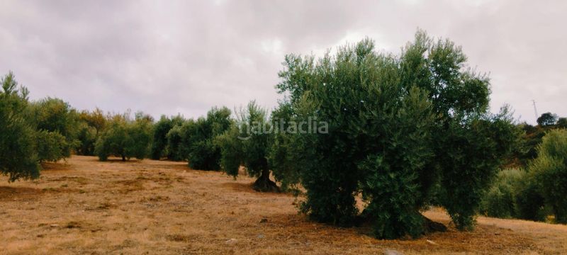 Foto d144bd91-e0e2-43e0-95d3-77c633ae1f37. Apartamento en Quéntar