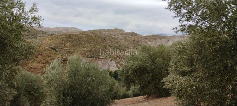Foto d3352282-283e-4ca2-a35b-3a7af9208ba9. Apartamento en Quéntar