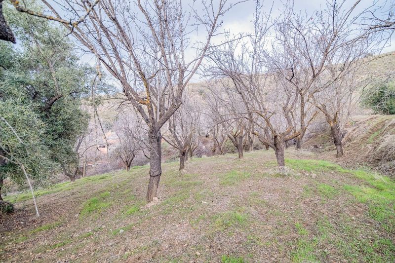 Foto 1f24652f-c602-4ade-87a5-056c0025f4fc. Piccolo appartamento in Pinos Genil