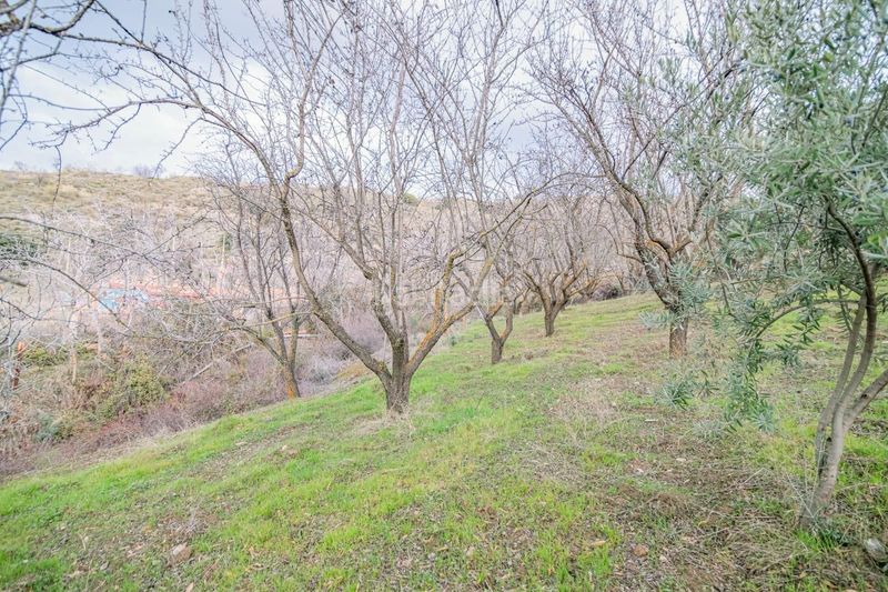 Foto 494fbcff-9bed-406f-9450-df6751e0198f. Piccolo appartamento in Pinos Genil