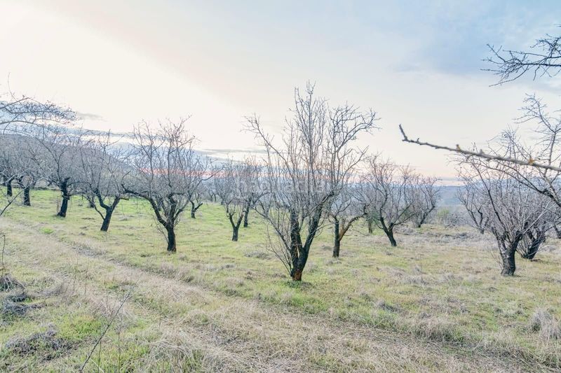 Foto 5c81ef95-e7e5-4a77-8f65-b32b4a7dc531. Piccolo appartamento in Pinos Genil