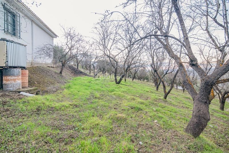 Foto 724611f1-8737-4c9c-a294-e4663756c52e. Piccolo appartamento in Pinos Genil
