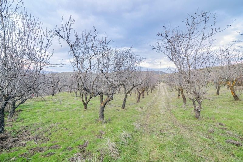 Foto 916a81e8-8b70-4475-a4f3-63b0ff14f03c. Piccolo appartamento in Pinos Genil