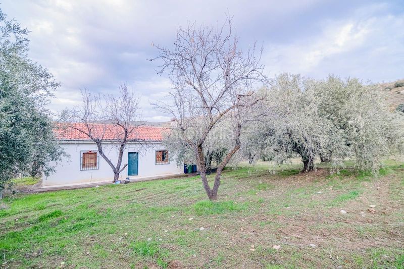 Foto 956b165a-e0a3-468c-8e50-37d9892bb489. Piccolo appartamento in Pinos Genil