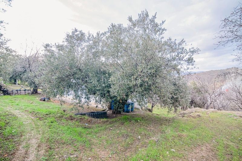 Foto 98c83e9b-7453-464e-8feb-56e0f227aba3. Piccolo appartamento in Pinos Genil