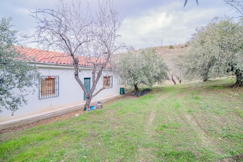 Foto ac198f63-a0f2-4d3e-9dab-6fc013765fa5. Piccolo appartamento in Pinos Genil