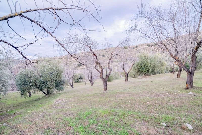 Foto bfacc350-b2c5-43ac-94e7-d7cab2c676cb. Piccolo appartamento in Pinos Genil