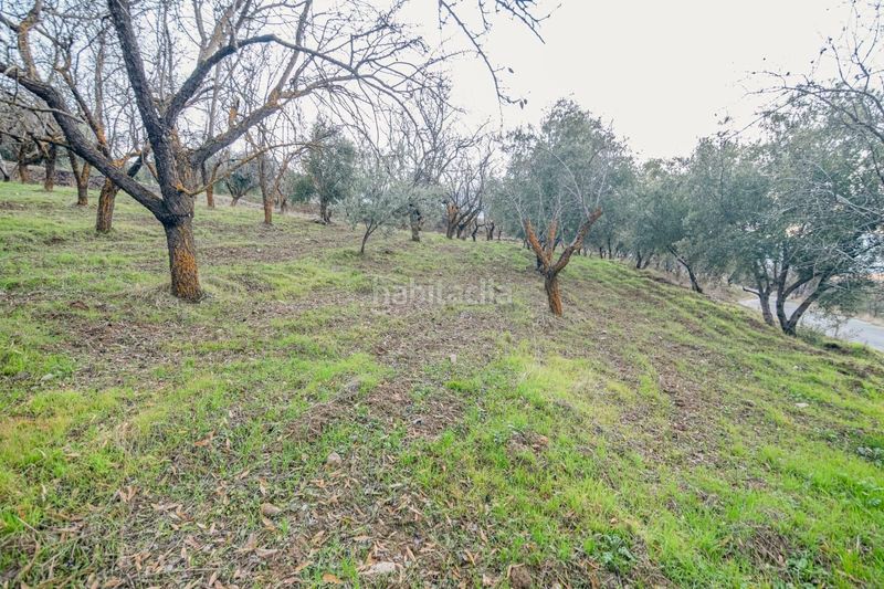 Foto c3f6b048-f963-4193-b52c-d1f5b686db7f. Piccolo appartamento in Pinos Genil