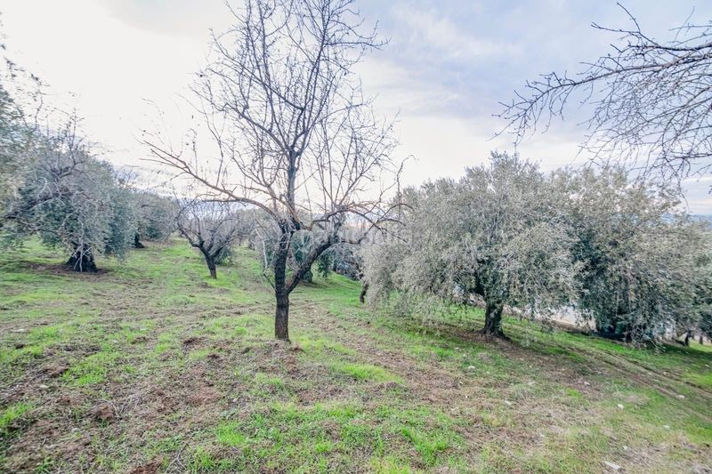 Foto cacac24c-ffad-466e-be5d-57a5f6bca16f. Piccolo appartamento in Pinos Genil