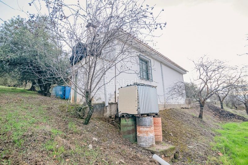 Foto cb3d550b-16ed-4365-8be9-f1e817dc79e0. Piccolo appartamento in Pinos Genil