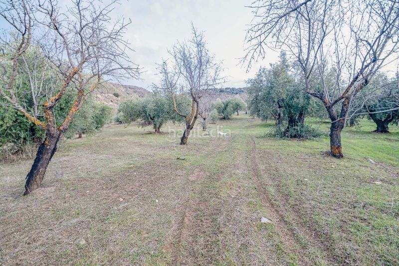 Foto d06fb045-c21e-4216-8f44-cd8118c6aa79. Piccolo appartamento in Pinos Genil