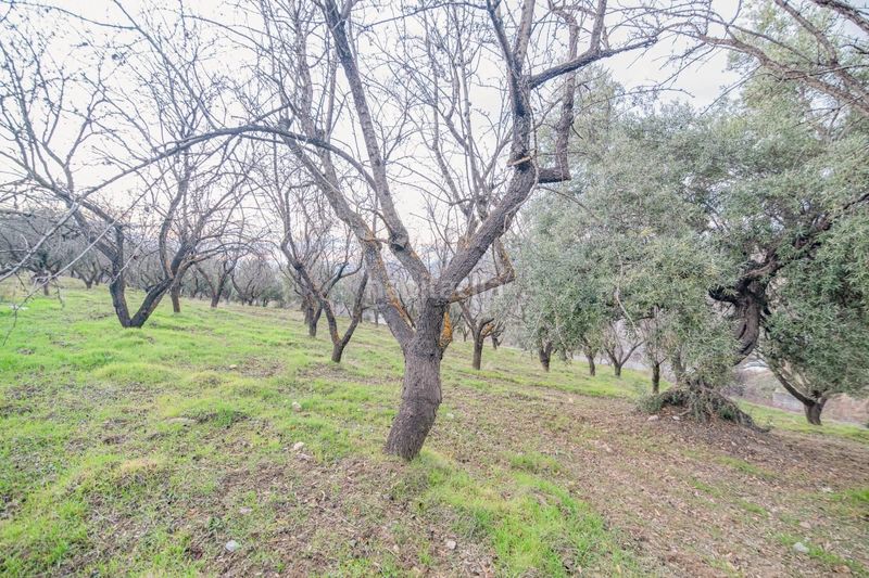 Foto d26f7844-62de-44cc-a481-27646bdc6401. Piccolo appartamento in Pinos Genil