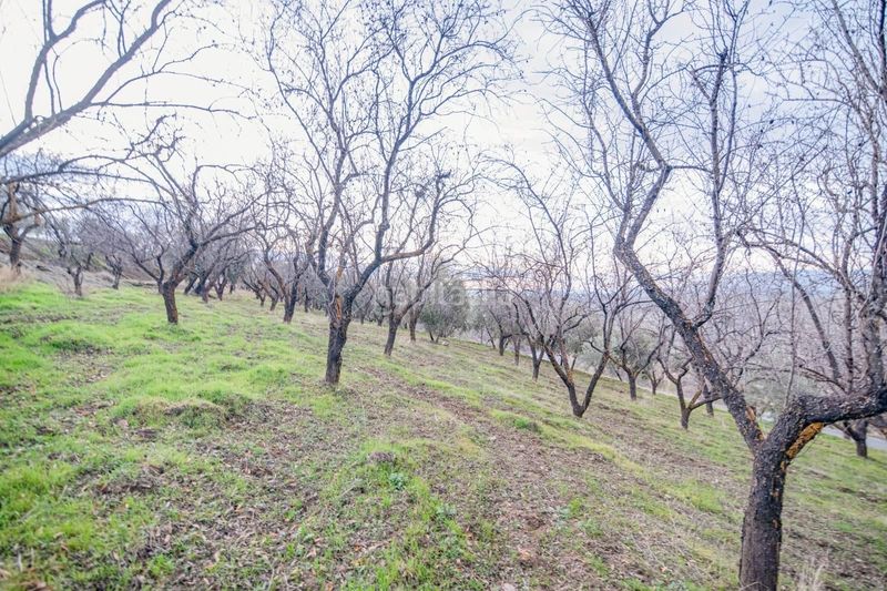 Foto e1a6e9f4-ddc0-45e7-8d72-4275da295821. Piccolo appartamento in Pinos Genil