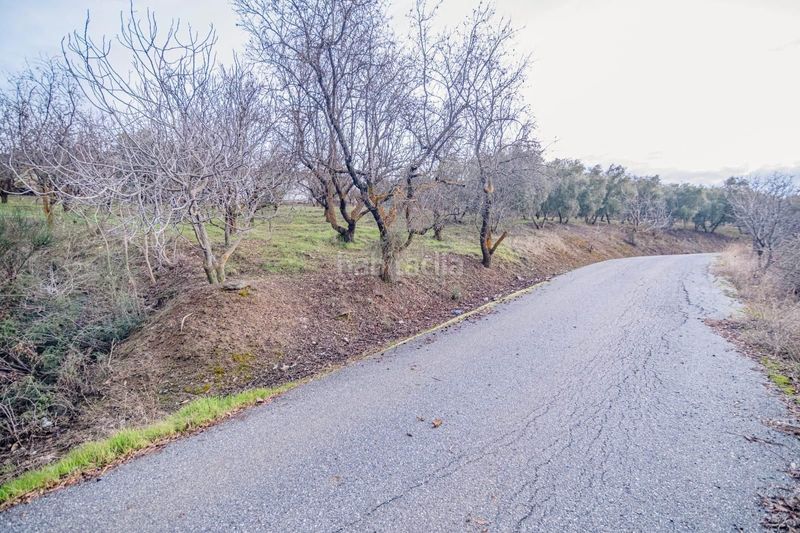 Foto f4752118-f6b2-40fc-9c14-7820f317e2c7. Piccolo appartamento in Pinos Genil
