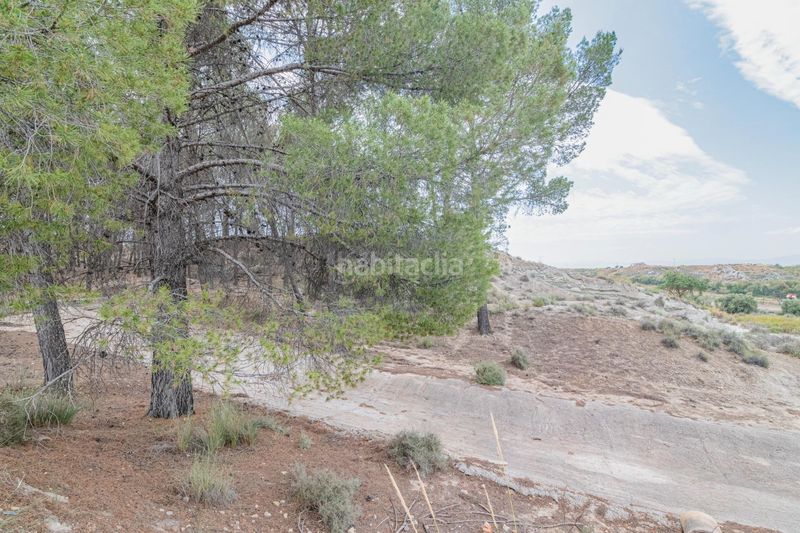 Foto 9b2d2fa0-6ed1-4ed5-985c-ca5573a941a2. Apartament a Baza