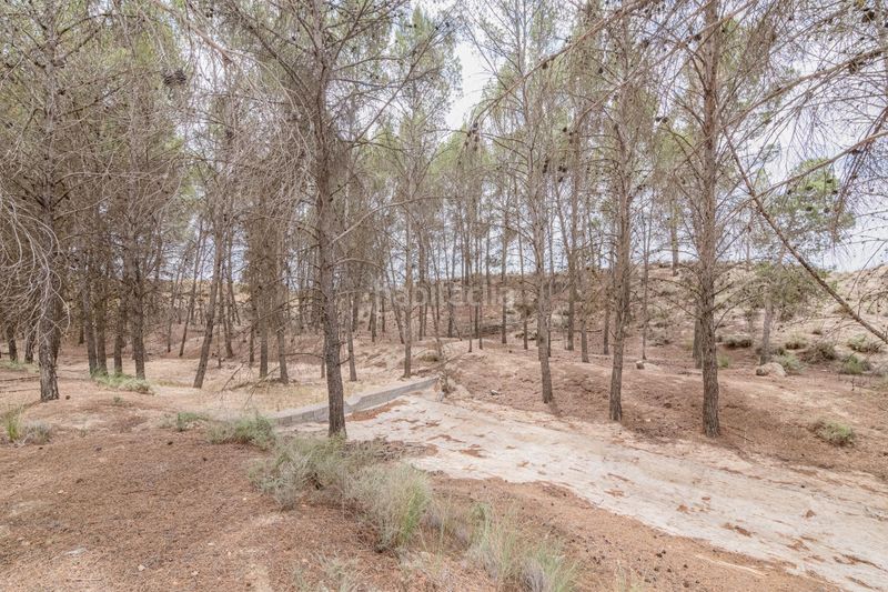 Foto a1e4fe27-b006-4494-b8af-67c1b3cc50e9. Apartament a Baza