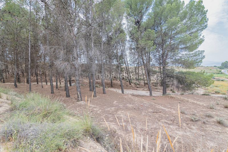 Foto d86ca1fd-0a6a-4c4f-af67-5c8b59790849. Apartament a Baza