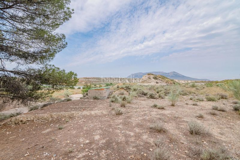 Foto e3cca8be-1569-4505-99c1-a809cd4e3e4d. Apartament a Baza