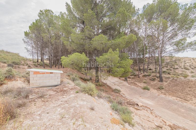 Foto e671b4e5-2b71-4db4-a283-0d00d84a3db8. Apartament a Baza