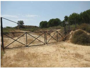 Finca rústica a Palma del Condado (La). Conjunto de 6 parcelas de uso agrícola en la palma del condado