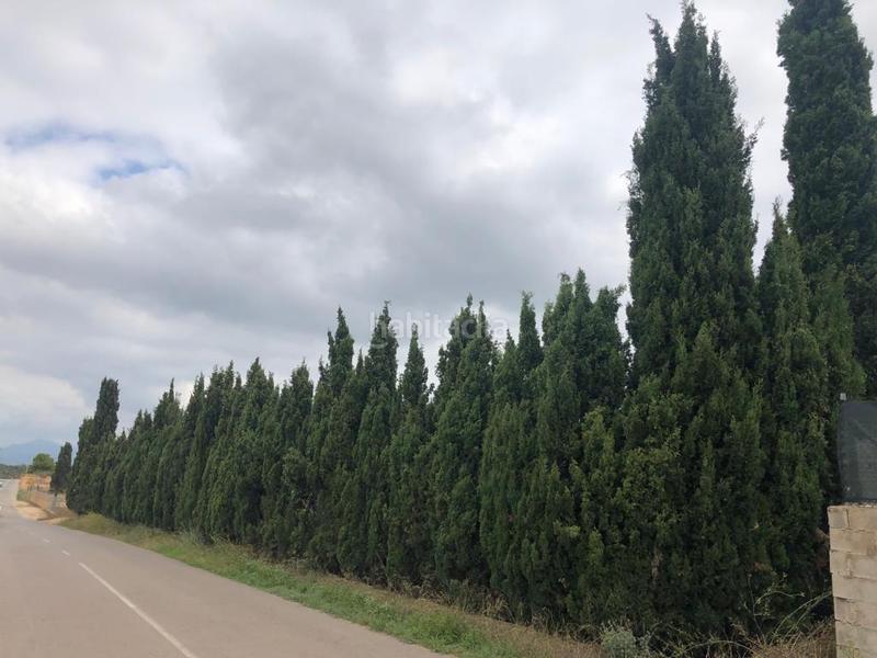 Foto 5f653d81-9083-44ff-8848-999cf918551f. Finca rústica a Pueblo Benicarló