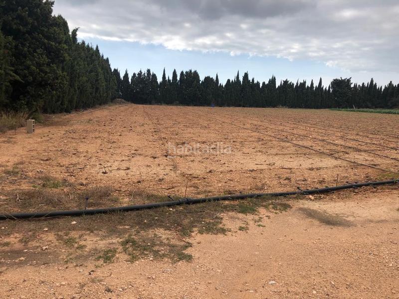 Foto 639f9f6e-9a7f-4219-a676-726e510fc052. Finca rústica a Pueblo Benicarló