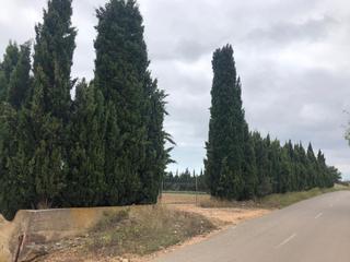 Finca rústica a Pueblo. Ptda. bovalar - benicarló