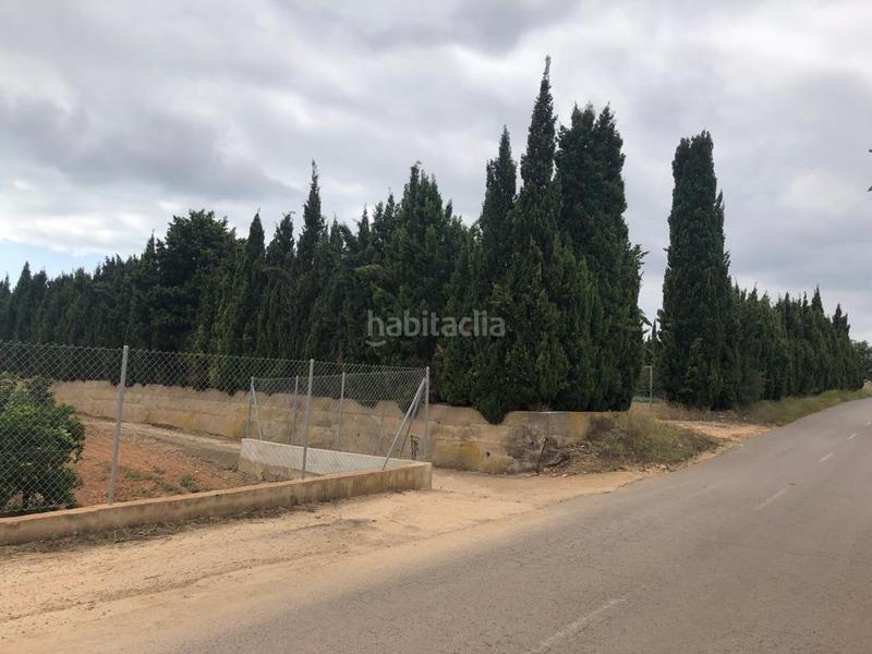 Foto d182e69c-a772-4ad6-9487-e37dcf95df0e. Finca rústica a Pueblo Benicarló